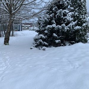 Meet your Posher, Ashik